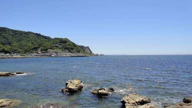 d0004301_0383155.jpg