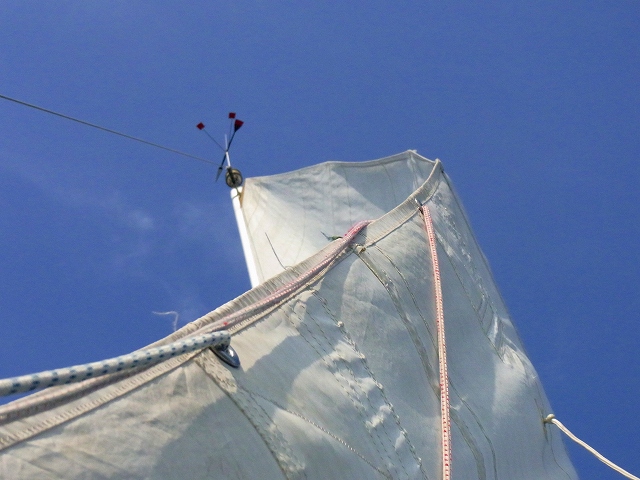 f0157901_21124445.jpg
