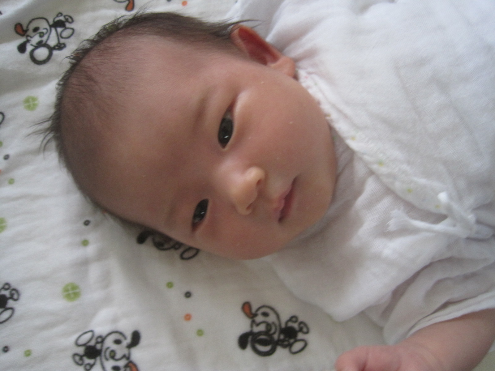 f0202703_22562647.jpg