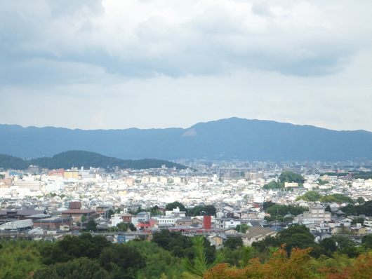 d0149306_13101282.jpg