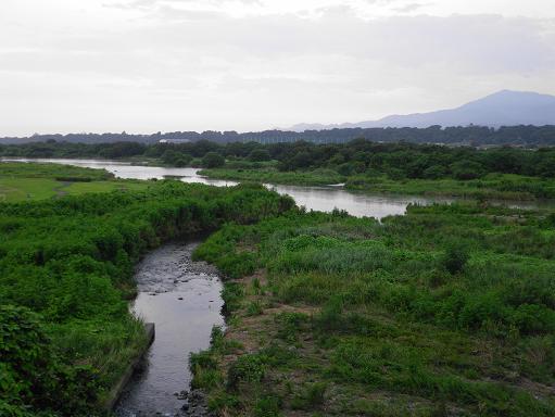 e0123808_0235828.jpg