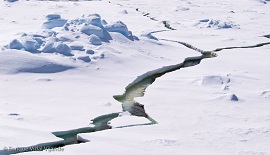 b0112009_14124666.jpg