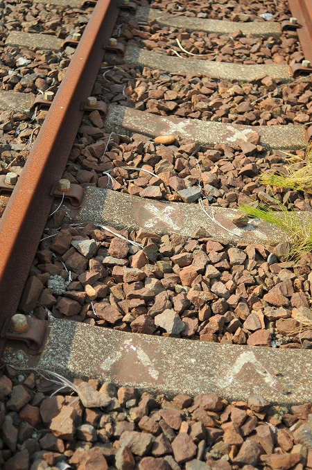 b0128609_013647.jpg