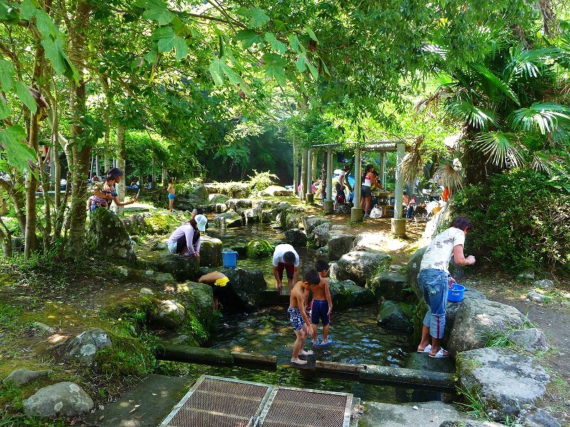 f0182513_1850447.jpg