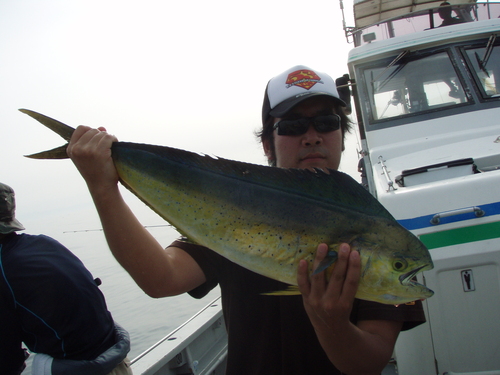 b0121015_201425100.jpg
