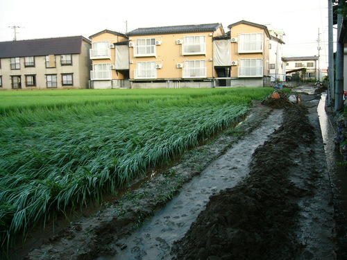 f0023916_19484269.jpg