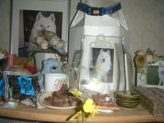 e0024126_1417896.jpg