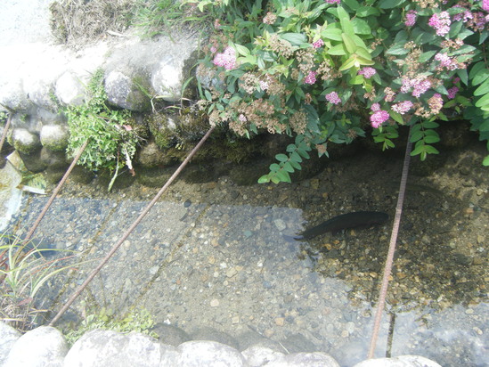 e0024126_14214152.jpg