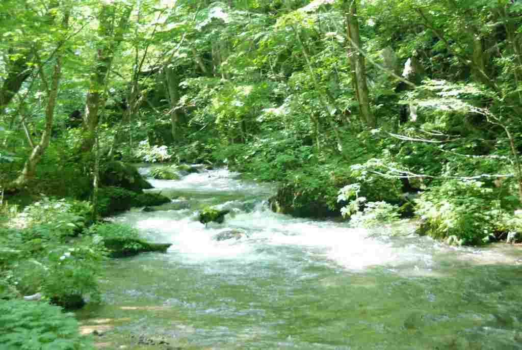d0030228_13345775.jpg