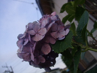 b0165236_18263843.jpg
