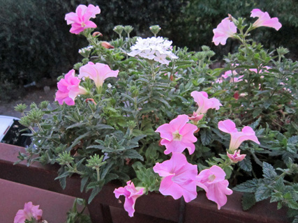 f0234936_23341125.jpg
