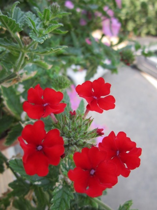 f0234936_23351480.jpg