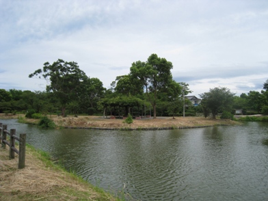 c0077338_21432544.jpg