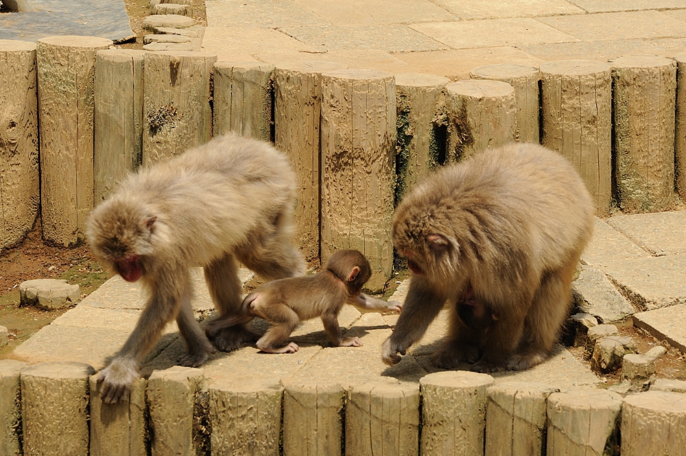 c0221838_13463977.jpg