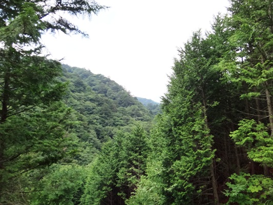 e0119840_23244198.jpg