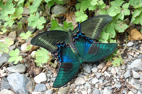 c0002943_22564926.jpg