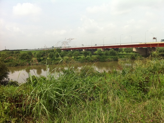 c0170945_20523673.jpg