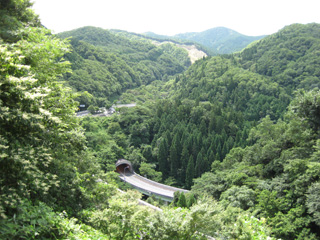 a0052952_1311847.jpg