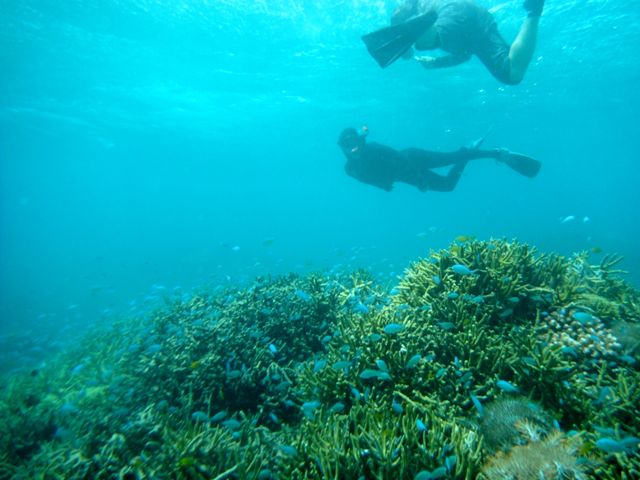 e0134752_21573570.jpg
