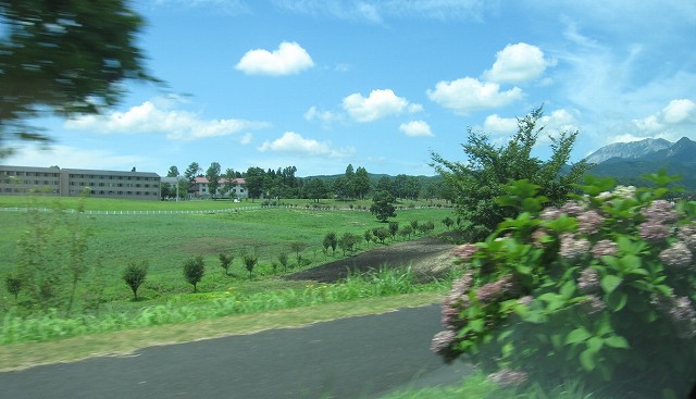 d0031853_2303445.jpg