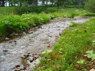 e0004756_22255342.jpg