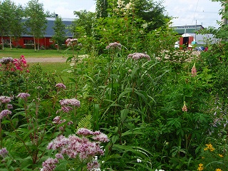 e0004756_2331416.jpg