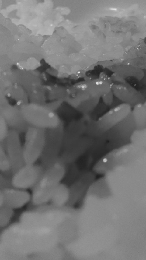 d0207559_20455961.jpg