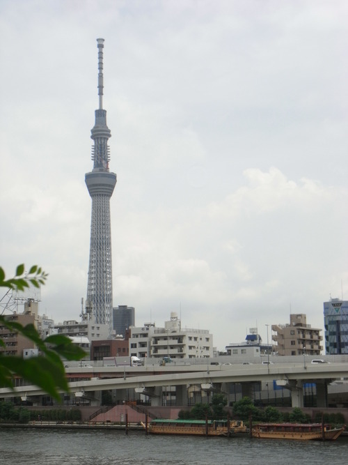 a0187861_171635.jpg