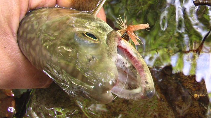 b0208961_14212027.jpg