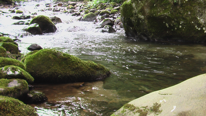 b0208961_14444729.jpg