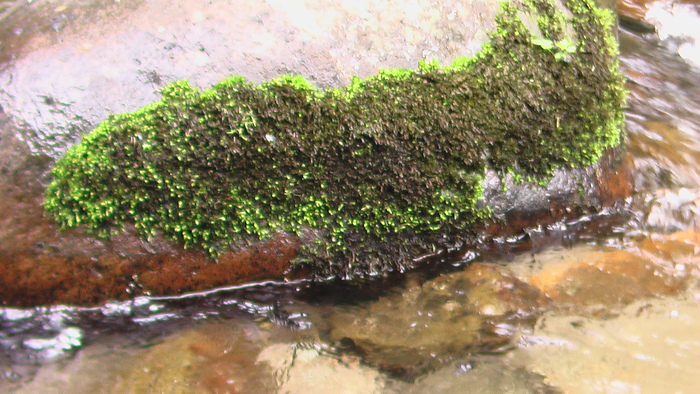 b0208961_1447244.jpg