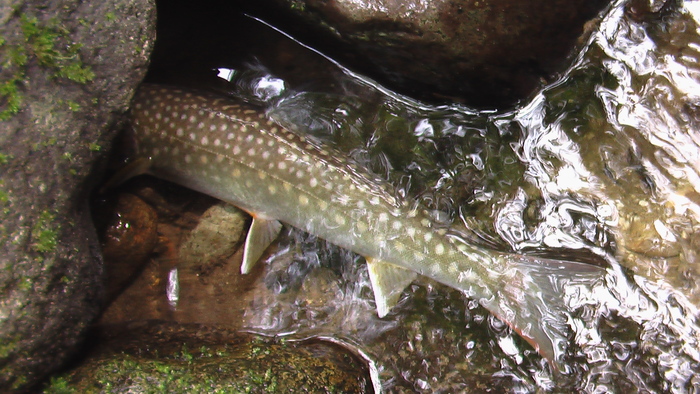 b0208961_14473676.jpg