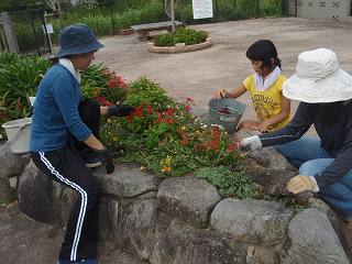 f0062462_1432612.jpg