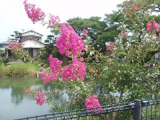 f0062462_1455447.jpg