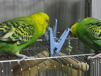 f0196665_2353636.jpg