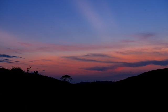 b0131167_20581932.jpg