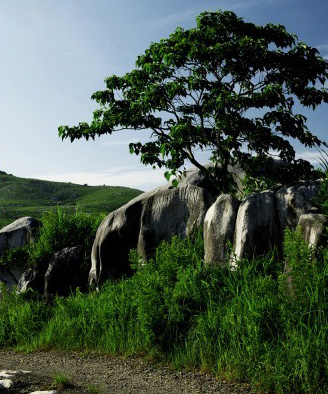 b0131167_2183932.jpg