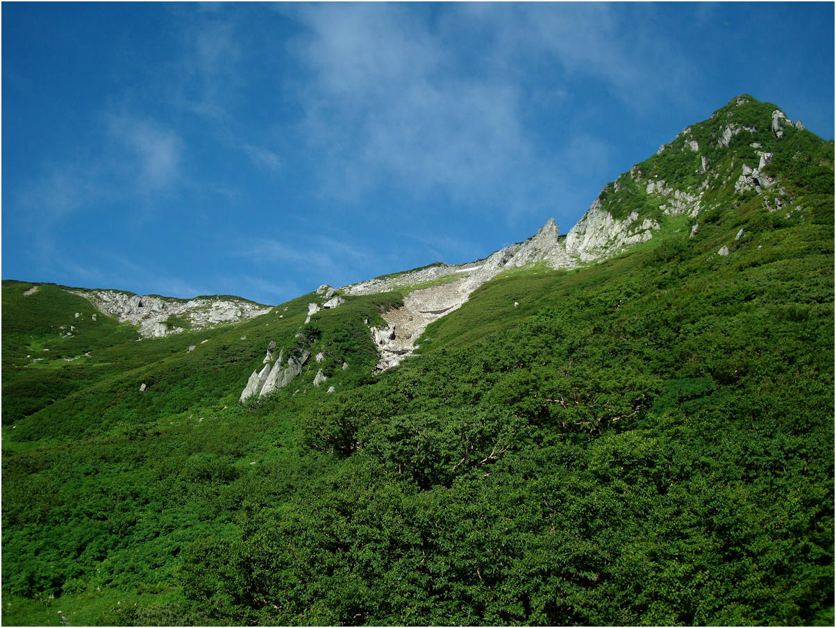 c0198669_16373665.jpg