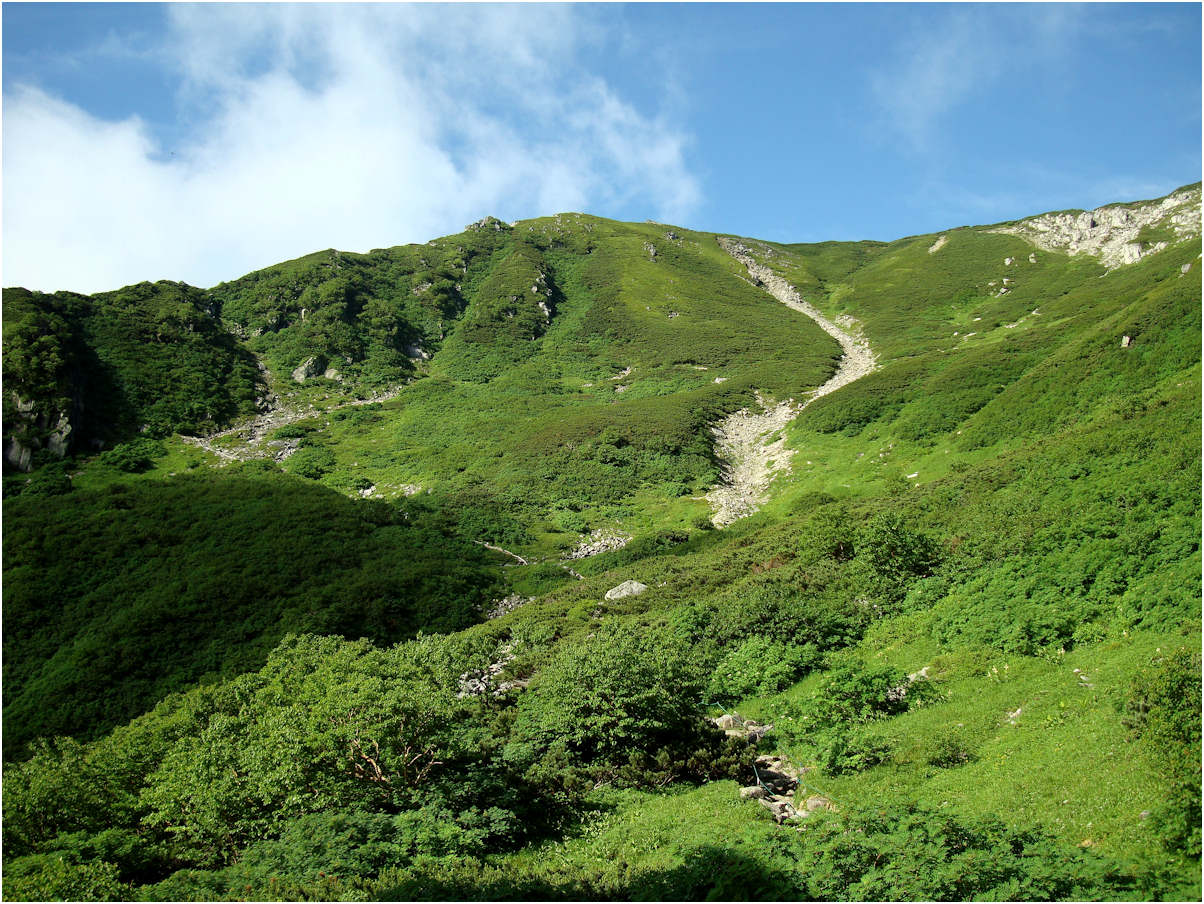 c0198669_16374341.jpg