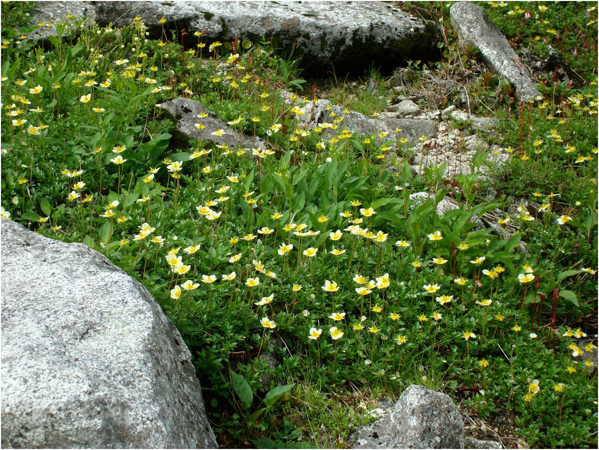 c0198669_16375733.jpg