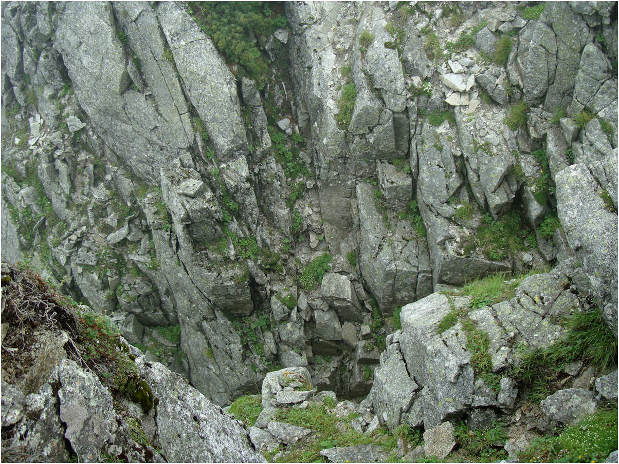 c0198669_16402113.jpg