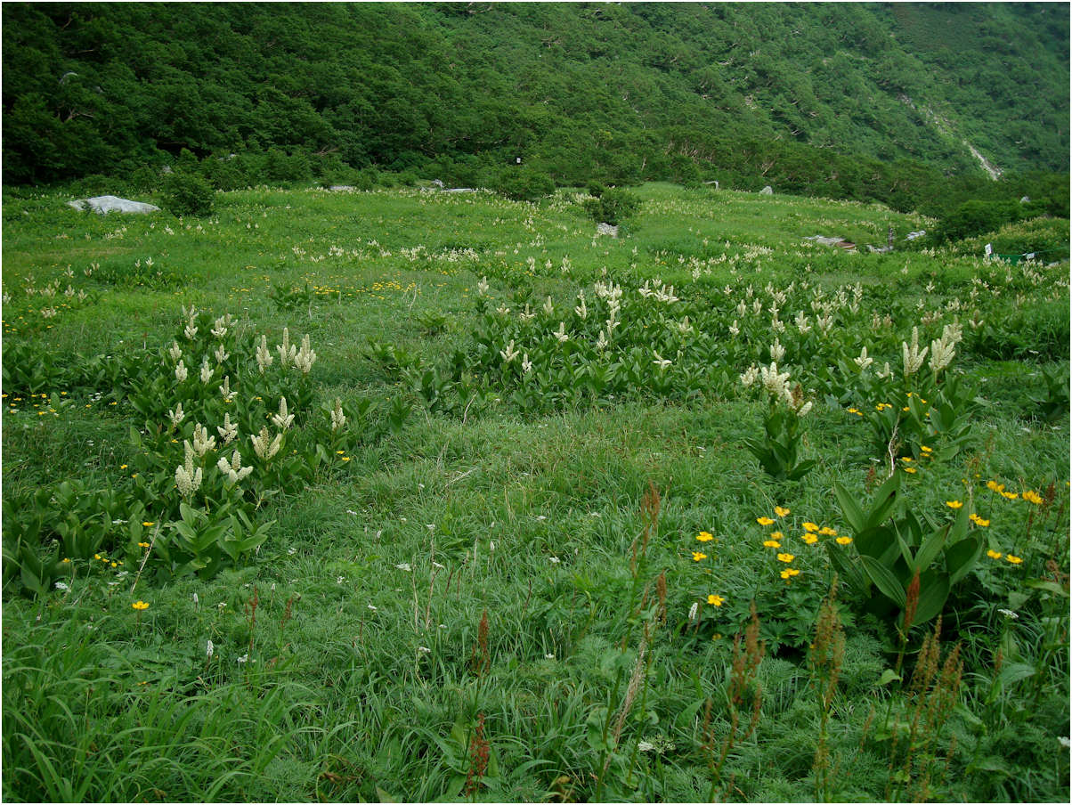 c0198669_164551.jpg