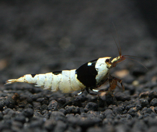 f0224970_9224188.jpg
