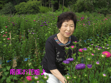 d0050871_1331613.gif