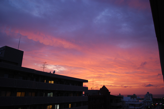 e0192175_2037672.jpg