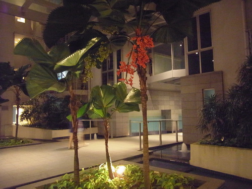 a0002177_16101741.jpg
