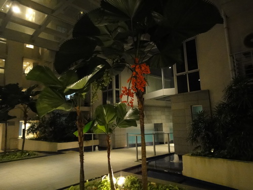 a0002177_16102760.jpg