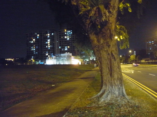 a0002177_1621295.jpg