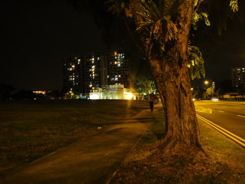 a0002177_168519.jpg