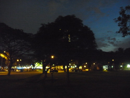a0002177_1693295.jpg